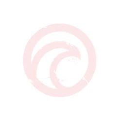 Starboard IQ Foil Carbon